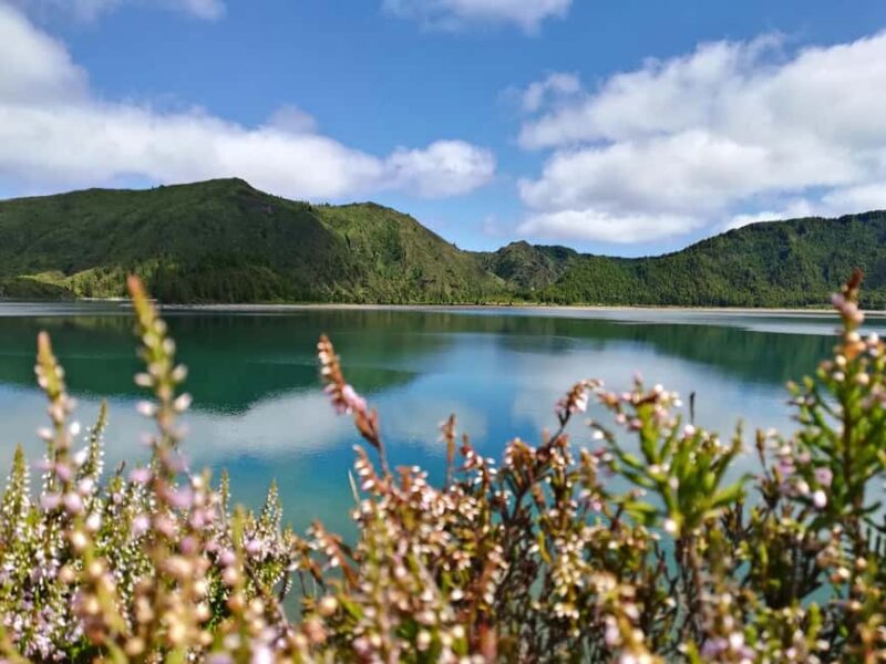 São Miguel: Lagoa do Fogo Hike - Return Stops: Caloura or Água DAlto