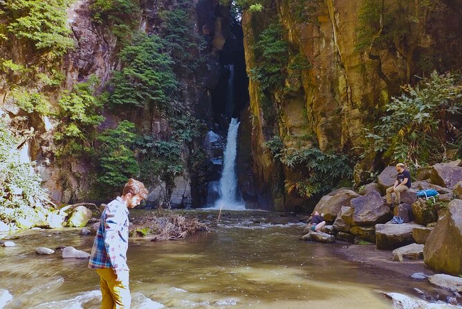 São Miguel: Majestic North Tour (Local Lunch Incl.) - Coastal Cliffs and Tea Plantations