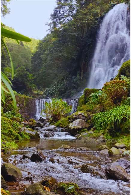São Miguel: Majestic North Tour (Waterfalls w/Lunch) - Exploring Ribeira Grande and Its Coastal Charm