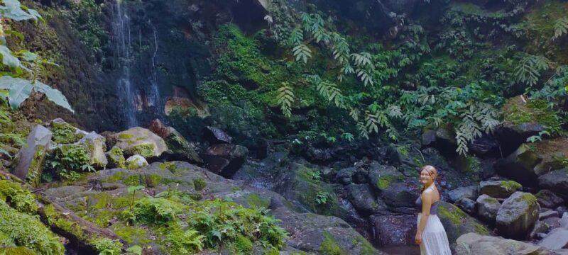 São Miguel: Majestic North Tour (Waterfalls w/Lunch) - Enjoying a Traditional Local Lunch with Regional Flavors