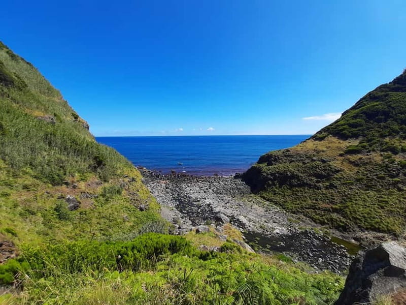 São Miguel: Moinho do Felix Hike with Tea Factory Visit - Visiting Europe’s Only Tea Factory on São Miguel