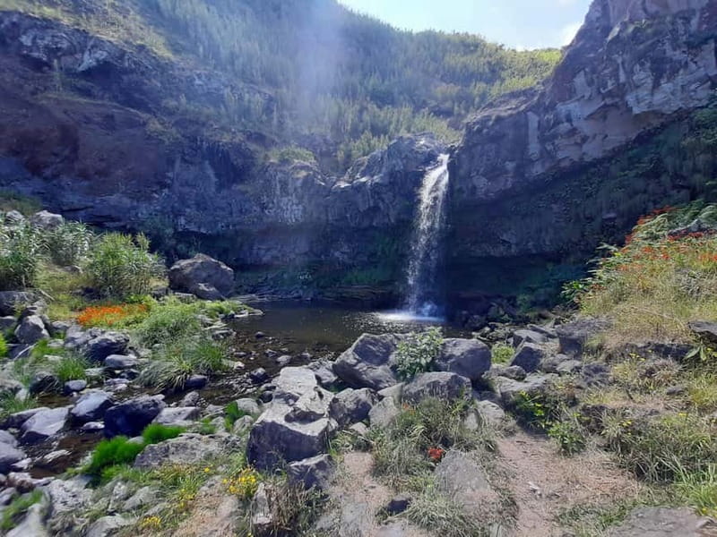 São Miguel: Moinho do Felix Hike with Tea Factory Visit - The Moinho do Félix Trail and Its Natural Beauty