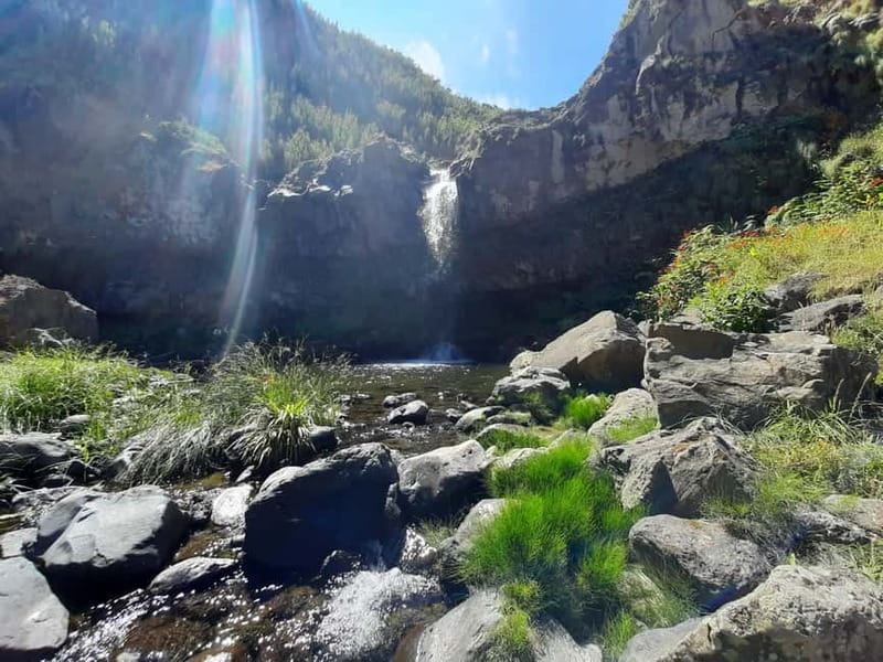 São Miguel: Moinho do Felix Hike with Tea Factory Visit - Hiking Equipment and Practical Details