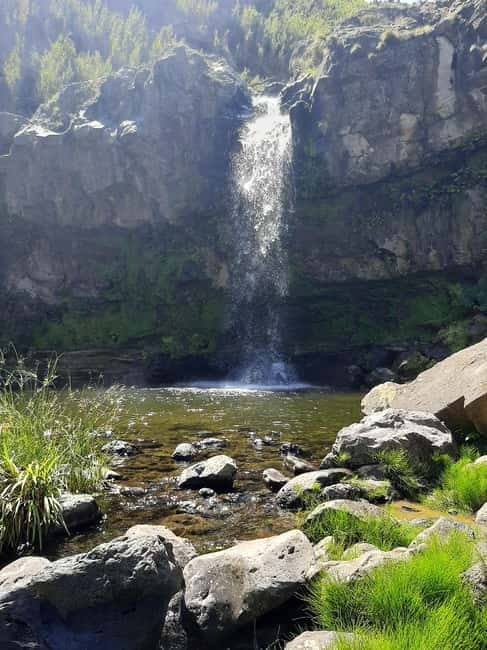 São Miguel: Moinho do Felix Hike with Tea Factory Visit - The Experience Provider and Booking Flexibility