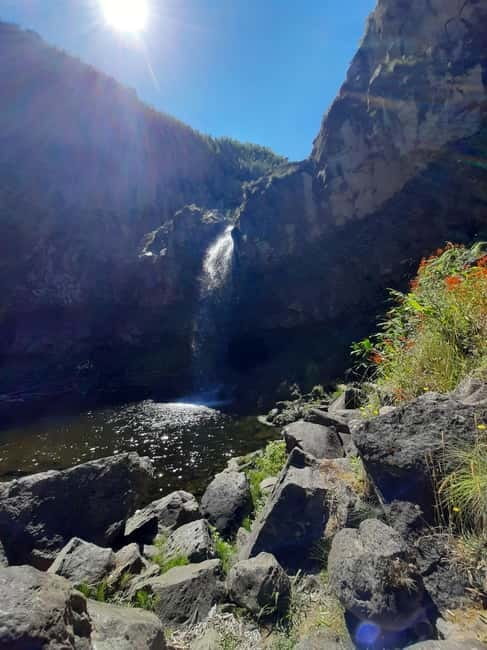 São Miguel: Moinho do Felix Hike with Tea Factory Visit - Frequently Asked Questions