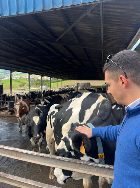 São Miguel: Nordeste Tour with Cow Milking - Discover the Charm of Nordeste and its Natural Wonders