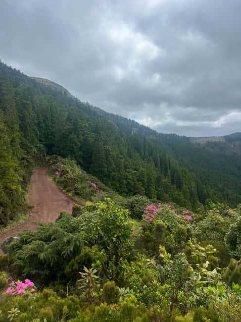 São Miguel: Nordeste Tour with Cow Milking - Journey through Laurisilva Forest and First Settlements