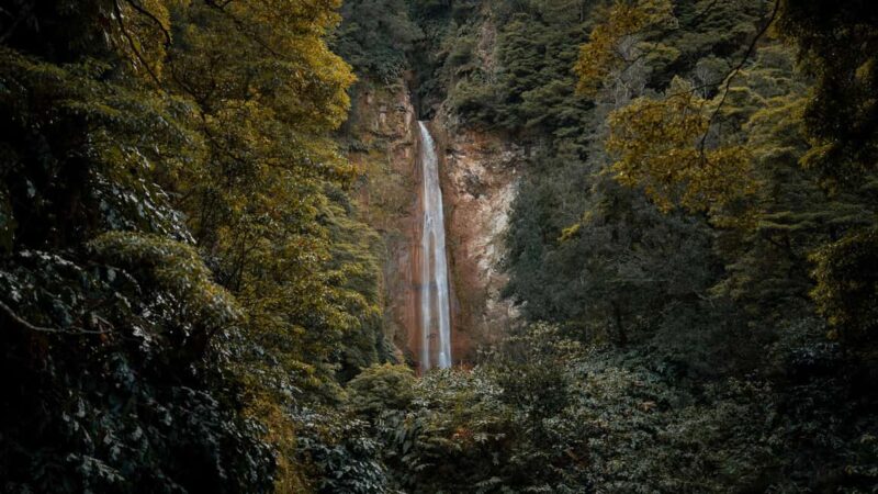 São Miguel Private Jeep 4×4  Furnas & East - Key Points