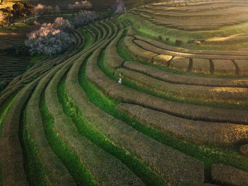 São Miguel Private Jeep 4×4  Furnas & East - Scenic Drive Through Furnas Valley and Surroundings