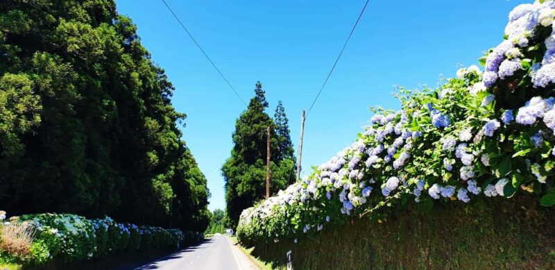 São Miguel Private Jeep 4×4  Furnas & East - Comparing with Similar Experiences on São Miguel