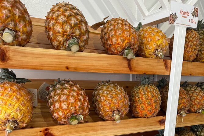 São Miguel Private Jeep Adventure - Personalized Island Tour - Discover Waterfalls and Nature at Ribeira dos Caldeiroes Park