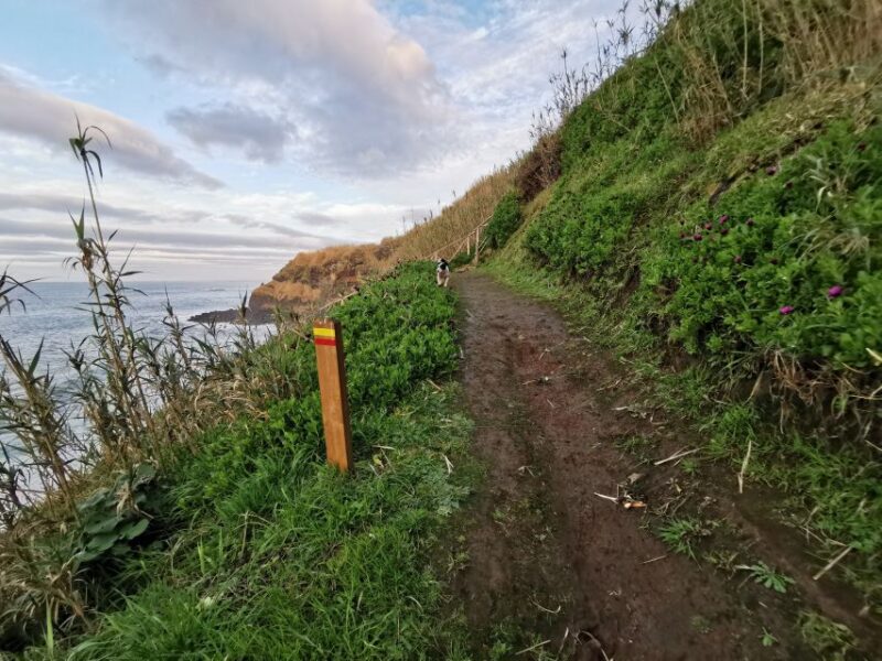São Miguel: Ribeira Funda Hike & Tea Plantation with Lunch - Explore São Miguel’s Coastal Beauty and Rural Charm