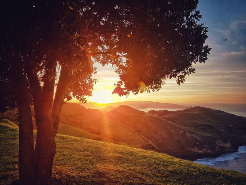 São Miguel: Ribeira Funda Hike & Tea Plantation with Lunch - Visiting the Tea Plantation and Learning Local Traditions