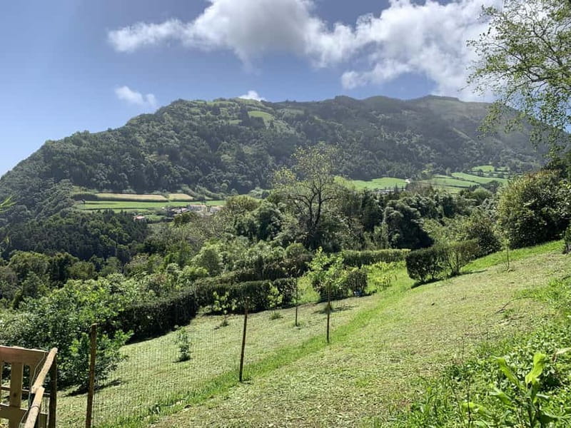 São Miguel: Salto do Prego Hike, Waterfalls & Picnic - Visiting the Wheat Museum: A Glimpse into Azorean Rural Life