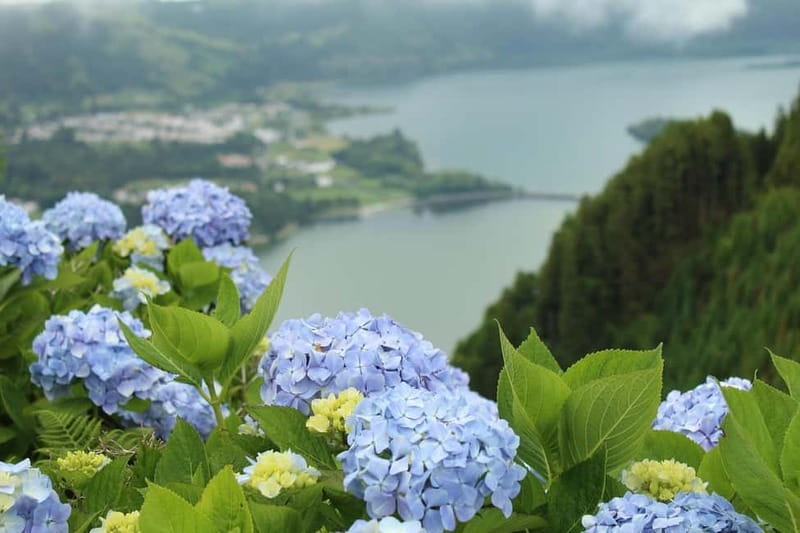 São Miguel: Sete Cidades & Pineapple Plantation Tour - Key Points