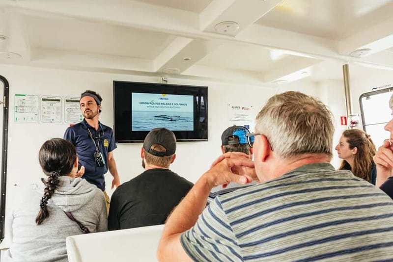São Miguel: Whale-Watching Cruise with Marine Biologist - Weather Conditions and Trip Planning Tips