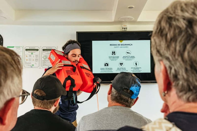 São Miguel: Whale-Watching Cruise with Marine Biologist - Best Times and Booking Flexibility