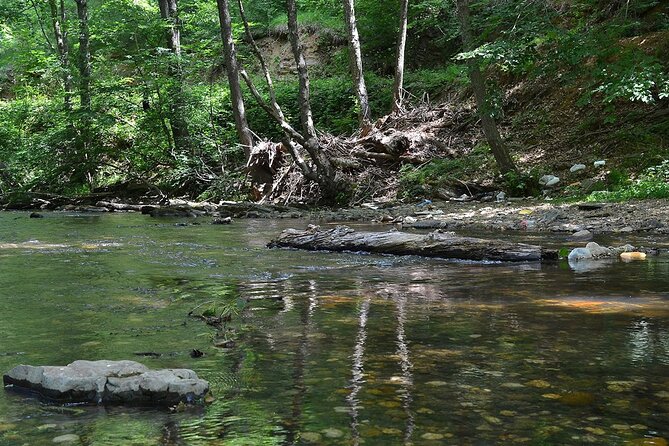 Sapanca and Masukiye Day Trip with Lunch and Hotel Transfer - Relax and Explore Sapanca Lake’s Natural Beauty