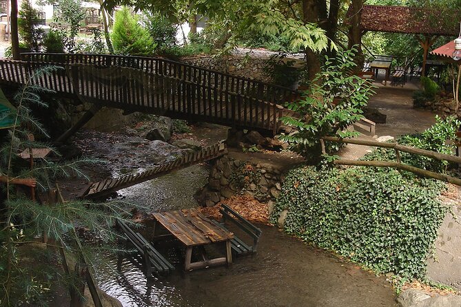 Sapanca and Masukiye Day Trip with Lunch and Hotel Transfer - Discover Masukiye’s Adventure Options and Tranquil Atmosphere