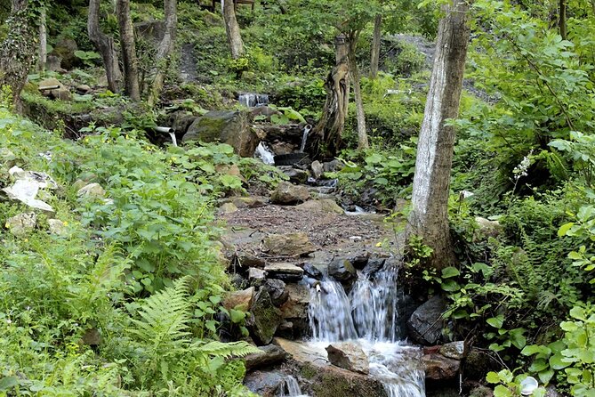 Sapanca and Masukiye Day Trip with Lunch and Hotel Transfer - Up to an Hour on Kartepe Cable Car