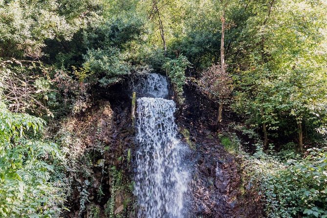 Sapanca And Masukiye Tour With Lunch - Full Day - Enjoying a Riverside Lunch in a Tranquil Setting