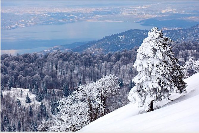 Sapanca and Zoo Private Tour From Istanbul - VIP Minivan - Best Quality - Relaxing Free Time at Sapanca Lake