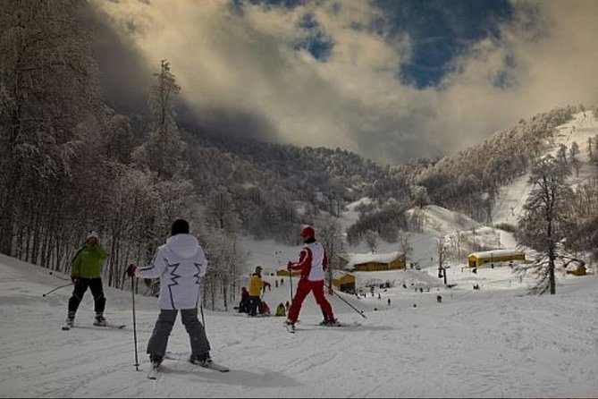 Sapanca and Zoo Private Tour From Istanbul - VIP Minivan - Best Quality - Comfortable and Convenient Transportation in a VIP Minivan