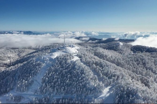 Sapanca and Zoo Private Tour From Istanbul - VIP Minivan - Best Quality - Practical Details and Booking Notes