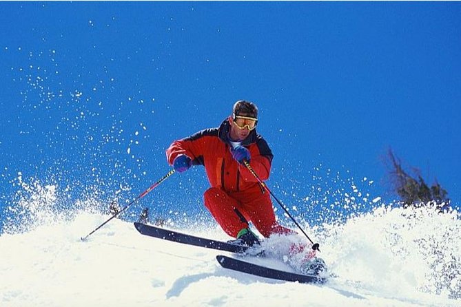 Sapanca and Zoo Private Tour From Istanbul - VIP Minivan - Best Quality - Pricing and Booking Flexibility