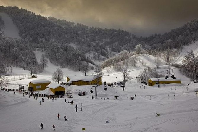 Sapanca and Zoo Private Tour From Istanbul - VIP Minivan - Best Quality - What Makes This Tour Stand Out from Similar Experiences