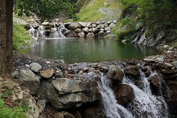 Sapanca Lake Tour with Lunch From Istanbul - Ormanya Wildlife Park: A Natural Habitat