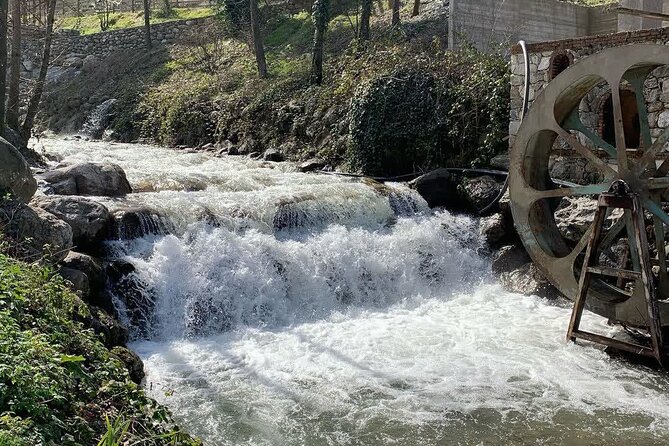 Sapanca Lake Tour with Lunch From Istanbul - Final Relaxation at Sapanca Lake