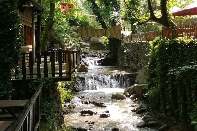 Sapanca Lake Tour with Lunch From Istanbul - Practical Aspects and Tour Logistics