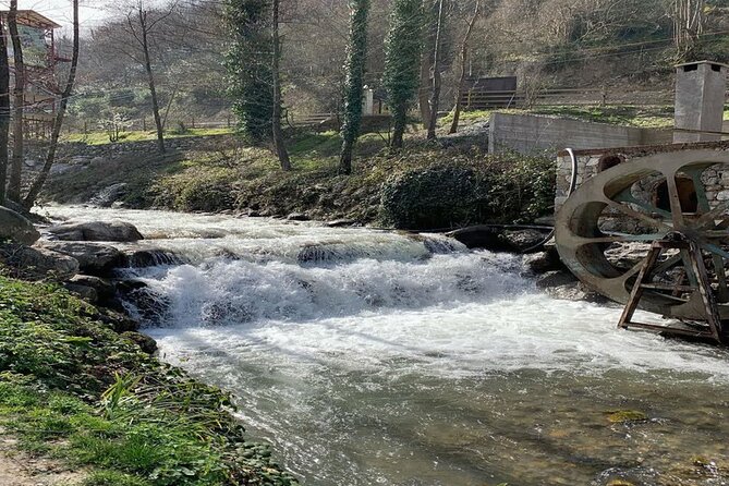 Sapanca - Masukiye Full Day Tour with Lunch - Relaxing at Sapanca Lake and Optional Water Activities