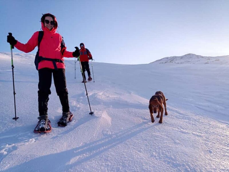 Sarajevo: Dinaric Alps Snowshoeing Tour - Key Points
