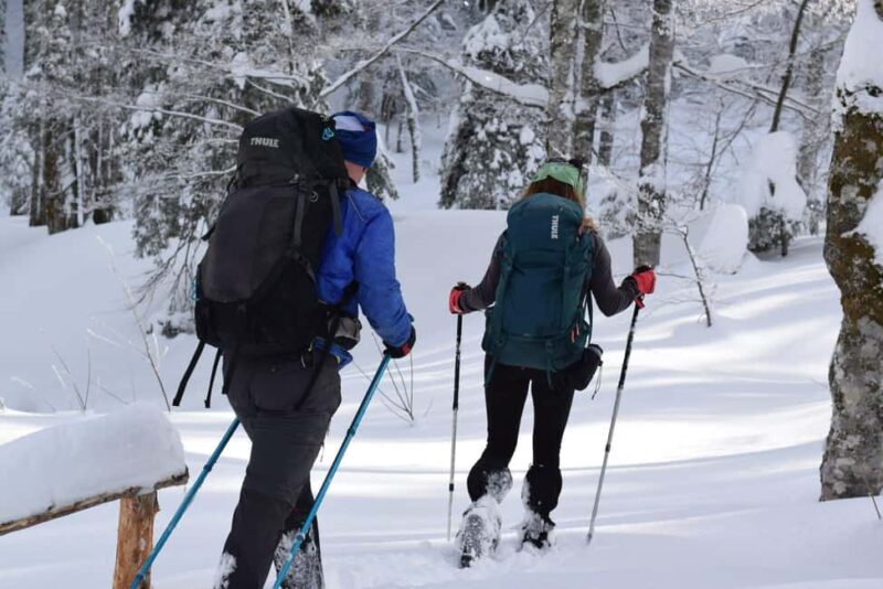 Sarajevo: Dinaric Alps Snowshoeing Tour - Snowshoeing through the Peaceful Trails of the Dinaric Alps
