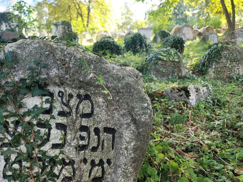 Sarajevo Full Day Tour: Hotel Pickup And All Fees Included - Starting with Hotel Pickup and City Introduction