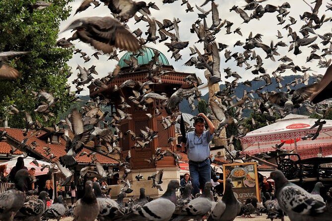 Sarajevo Grand Tour: Old Town, Olympic Bobsled, War Tunnel & More - Practical Details and Booking Tips