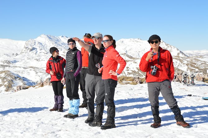 Sarajevo Snowshoeing Adventure - Exploring Snowy Trails in the Beech Forests