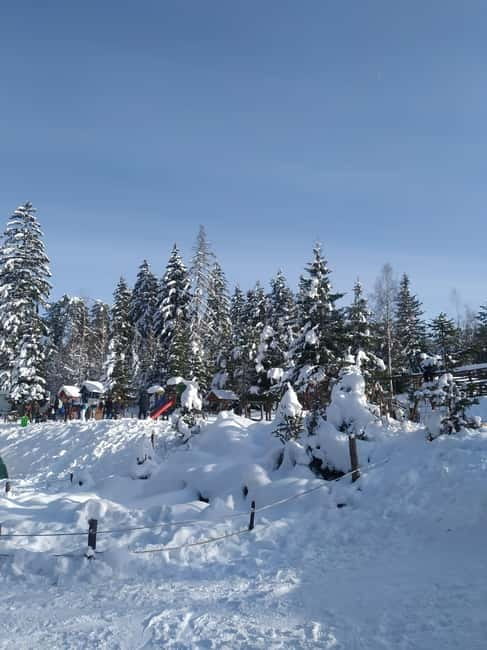 Sarajevo Sport tour: Olympic Mountains and Stadium Tour - Walking on Top of the Bobsleigh and Luge Track