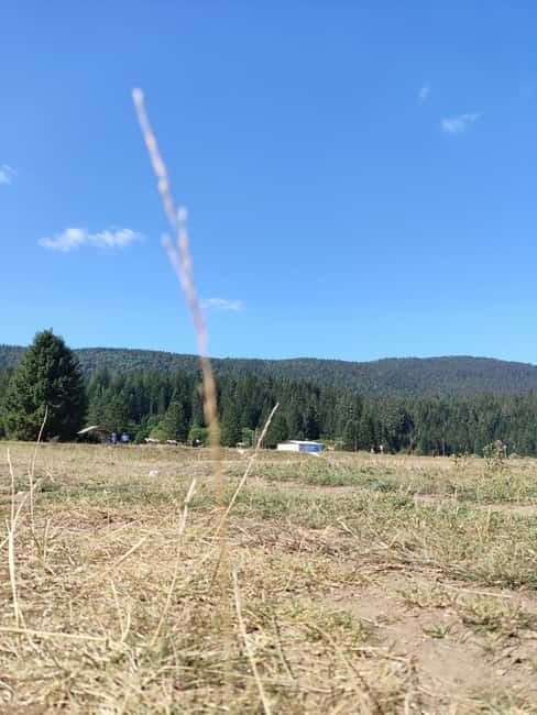 Sarajevo Sport tour: Olympic Mountains and Stadium Tour - Exploring the Jumping Slopes on Mountain Igman