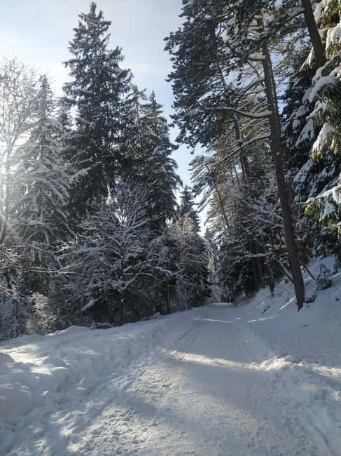 Sarajevo Sport tour: Olympic Mountains and Stadium Tour - Practical Details and What’s Included