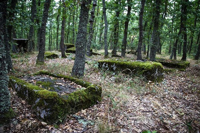 Sarajevo to/from Belgrade UNESCO Transfer Day Tour (Fees Incl.) - Riding the Arganska O(s)mica Steam Railway
