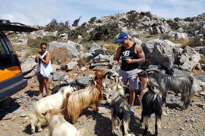 Sarakina Gorge, Kritza, Oliveoil Tasting, Mountains, South Coast - Scenic Views from Mountain Lookouts