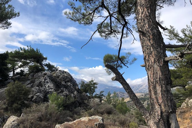 Sarakina Gorge, Kritza, Oliveoil Tasting, Mountains, South Coast - All-Inclusive Experience and Meals