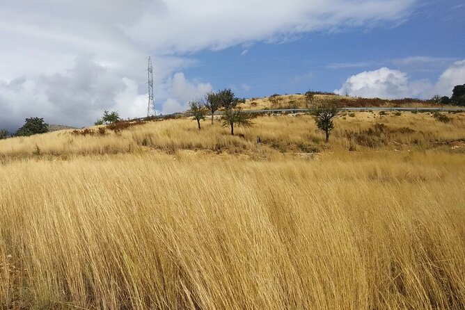 Saranda: Tour in South of Albania (Butrint, Blue Eye, Ksamil) - Exploring Butrint National Archaeological Park