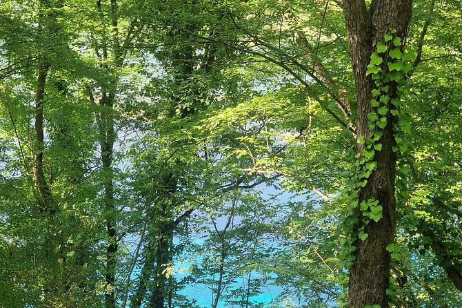 Sarande Blue Eye and Lekursi Castle Tour - Practical Details and Tour Logistics