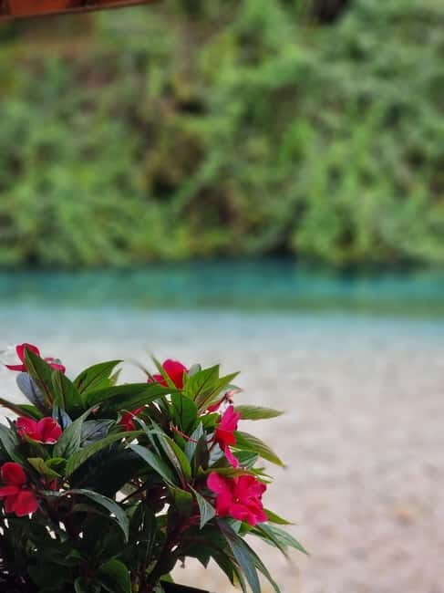 Sarande: Blue Eye Spring and Lekursi Castle Sunset Tour - The Experience from a Traveler’s Perspective