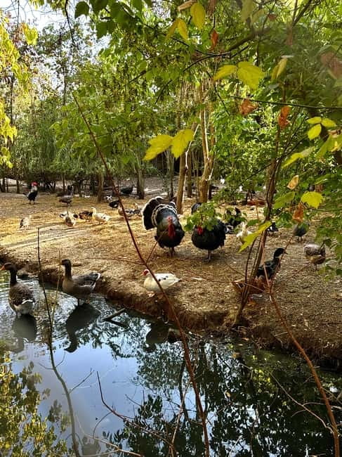 Sarande: Blue Eye with Traditional Food and Wine Tasting - Practicalities and Tips for the Tour