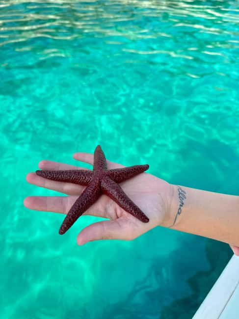 Sarandë: Coastal Cruise to Porto Palermo/Himare with Sunset - Scenic Stop at Soldiers Bay for Final Swimming